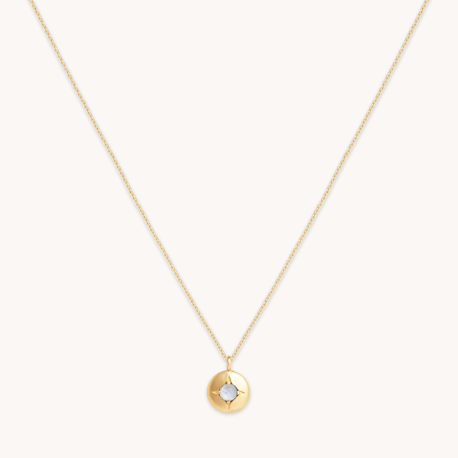 Birthstone Jewellery - June Moonstone Birthstone Necklace in Solid Gold - Pendant Necklace - Astrid & Miyu