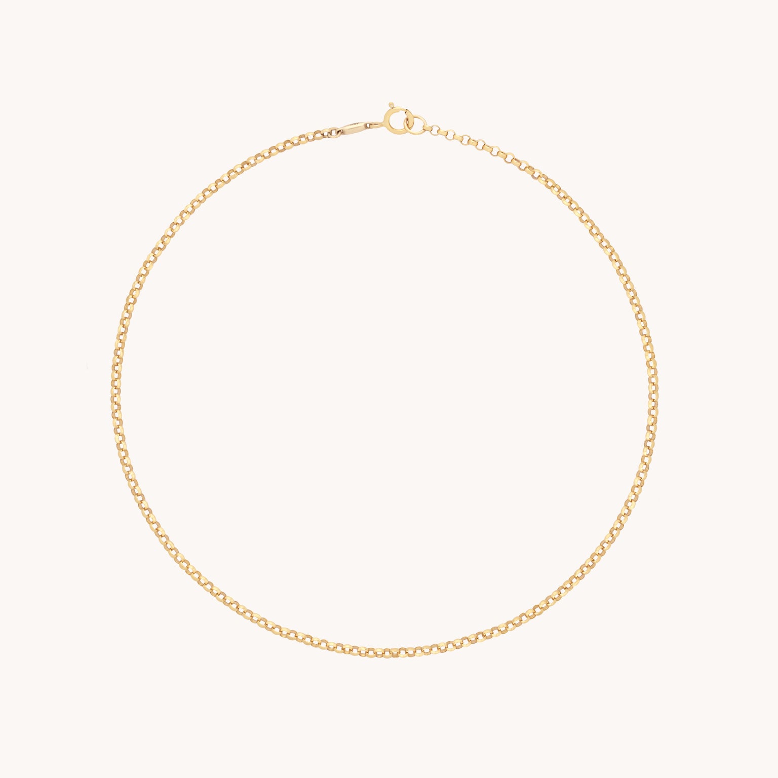 Chelsea Story Story Chain Anklet in Solid Gold
