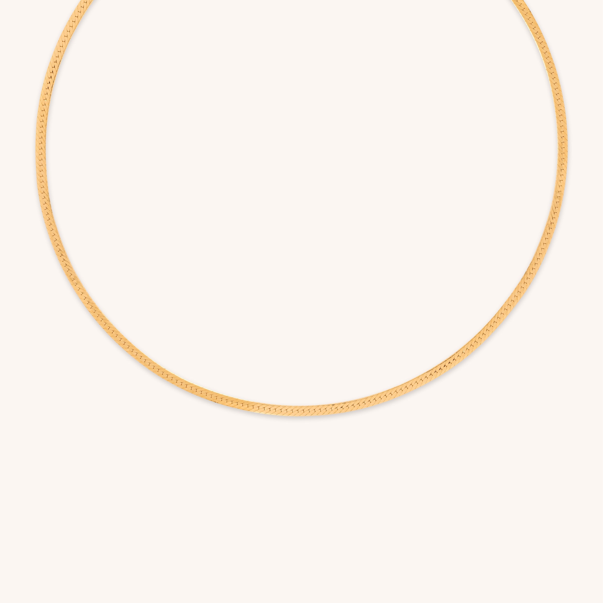 Essential Snake Chain Necklace in Gold