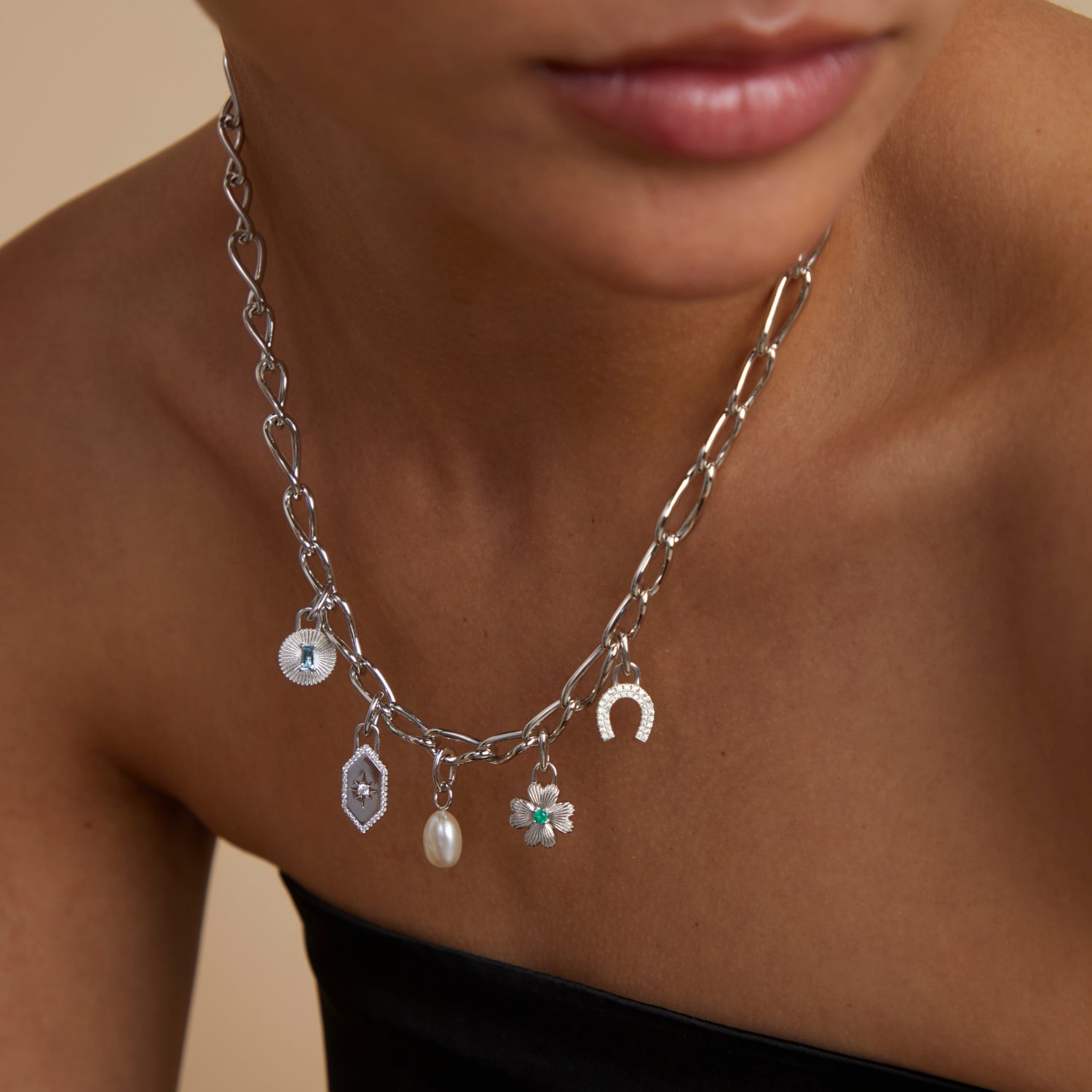 Shield Clip Charm in Silver