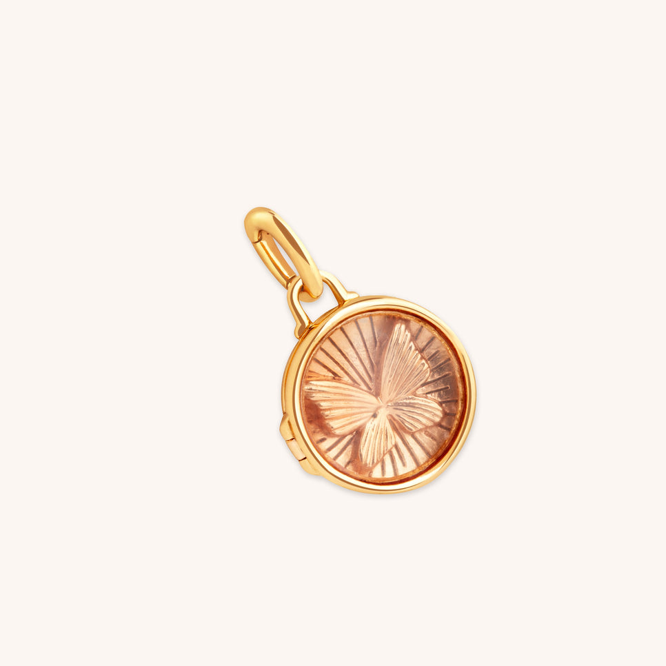 Butterfly Clip Charm in Gold