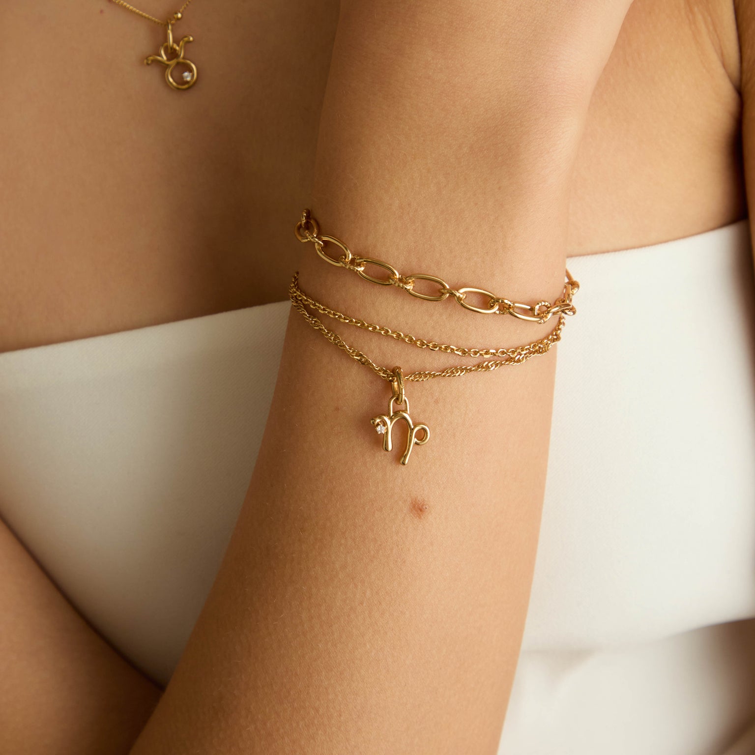 Capricorn Zodiac Clip Charm in Gold