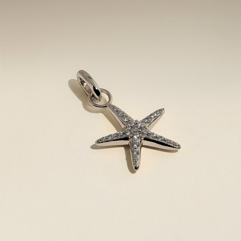 Starfish Clip Charm in Silver