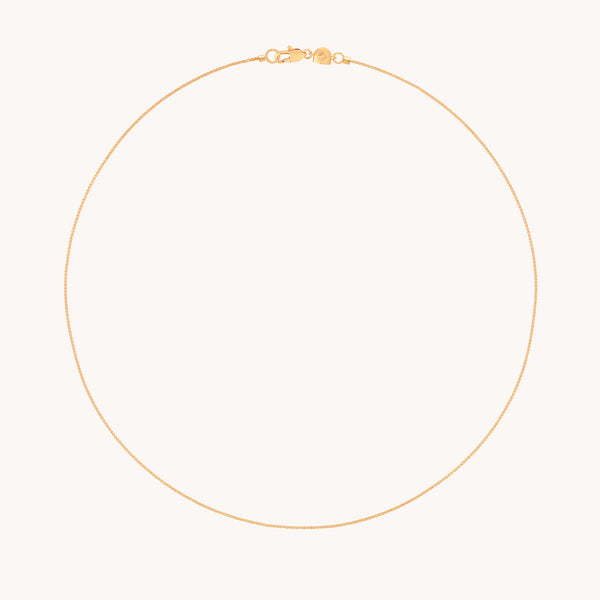 Essential Box Chain Necklace in Gold