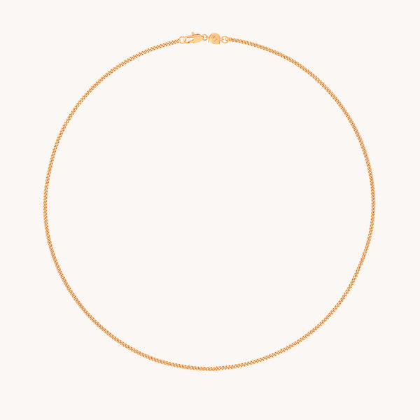 Essential Curb Chain Necklace in Gold