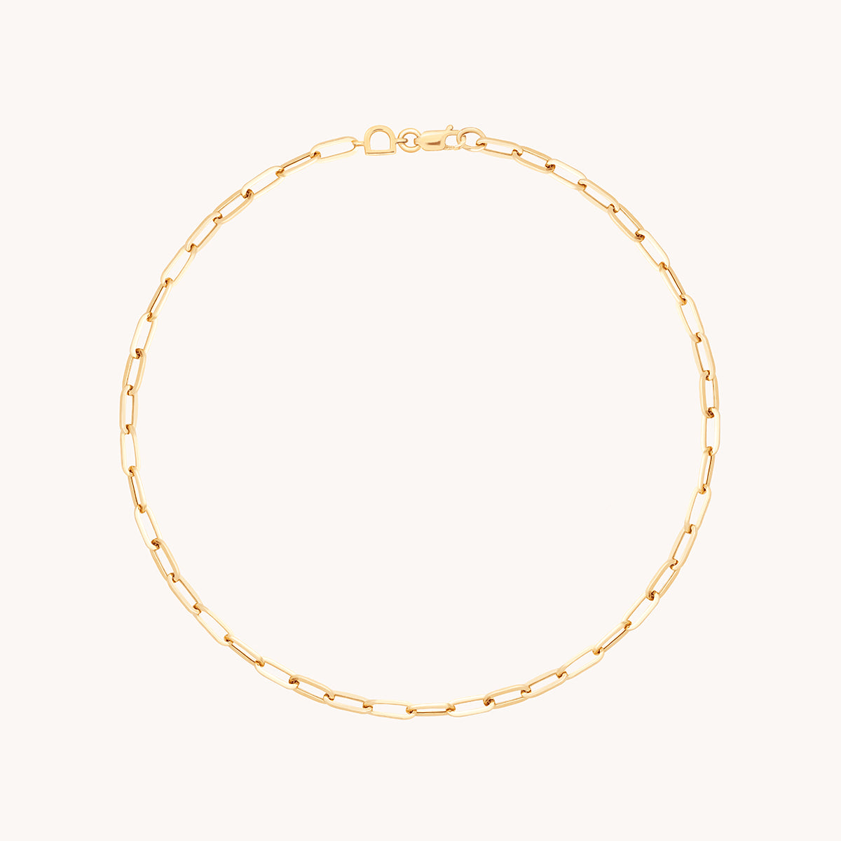 Piccadilly Chain Anklet in Solid Gold