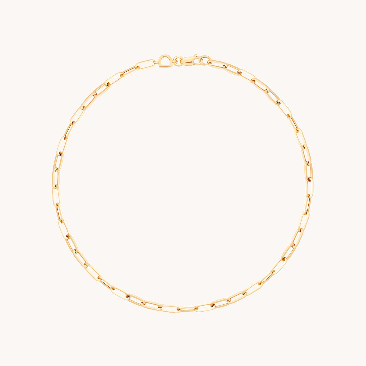 Piccadilly Story Chain Anklet in Solid Gold-Astrid & Miyu