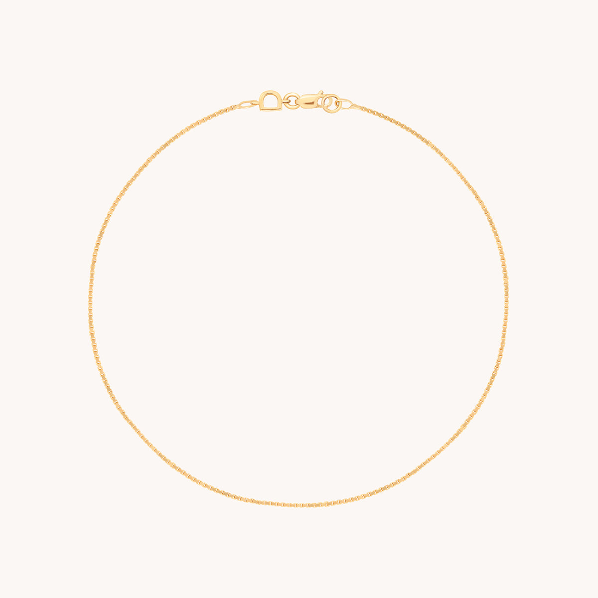 Shoreditch Chain Anklet in Solid Gold