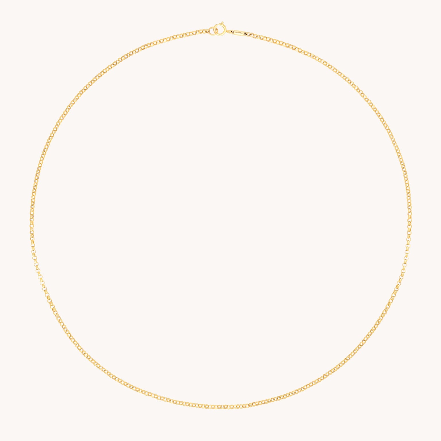 Chelsea Story Chain Necklace in Solid Gold