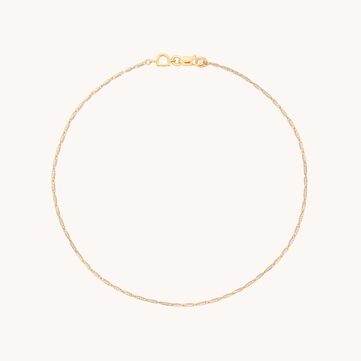 Carnaby Story Chain Anklet in Solid Gold