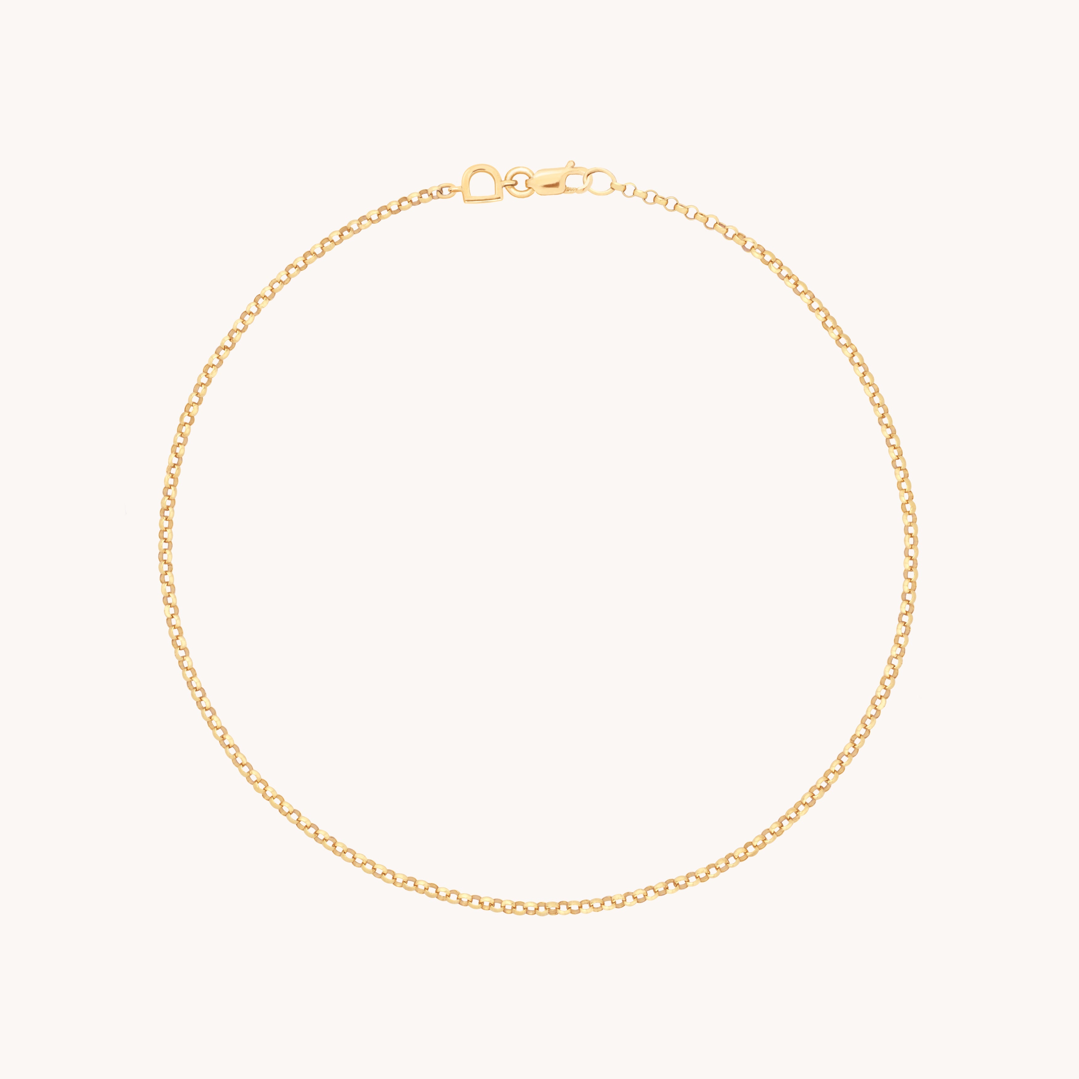 Chelsea Story Story Chain Anklet in Solid Gold