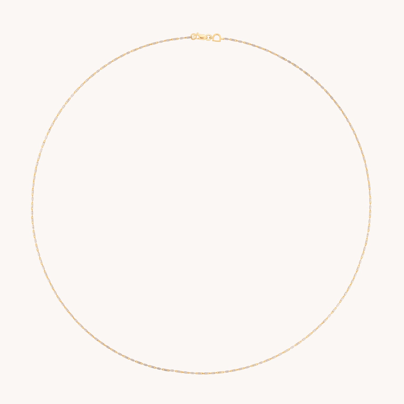 Carnaby Story Chain Necklace in Mixed Metal