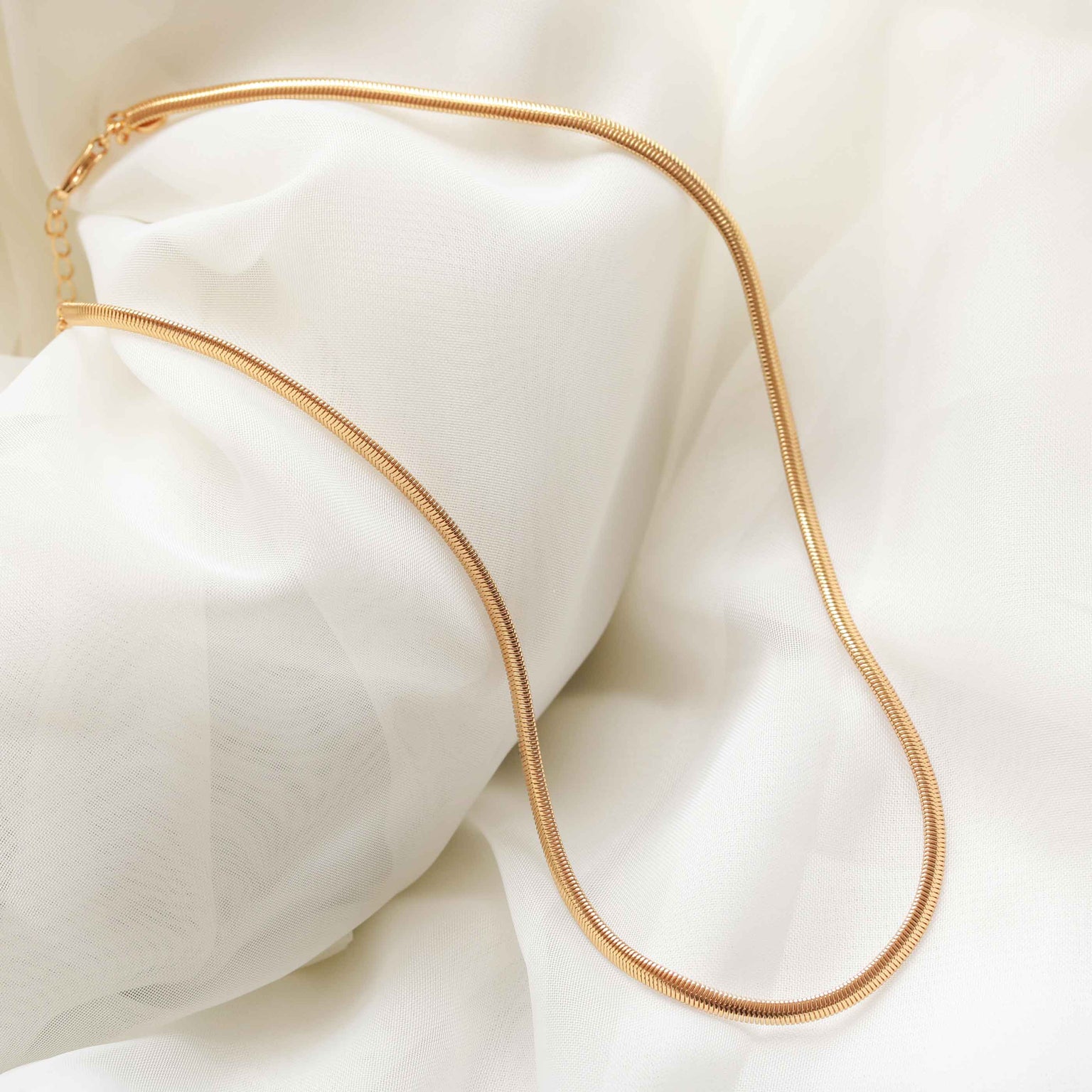 Flat lay shot of Oval Snake Chain Necklace in Gold