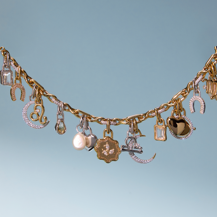 Clip Charm Collection