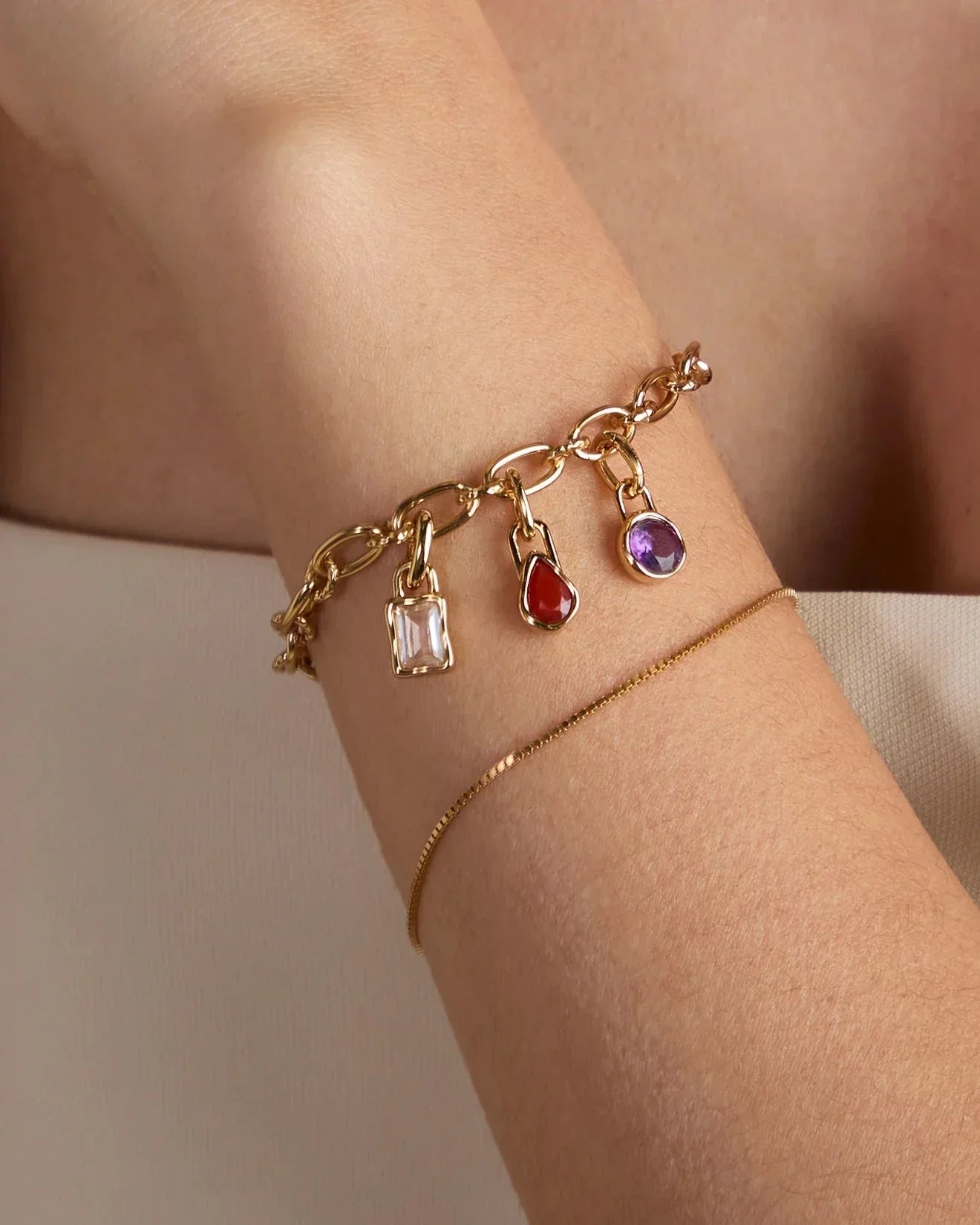 Clip Charm Compatible Products