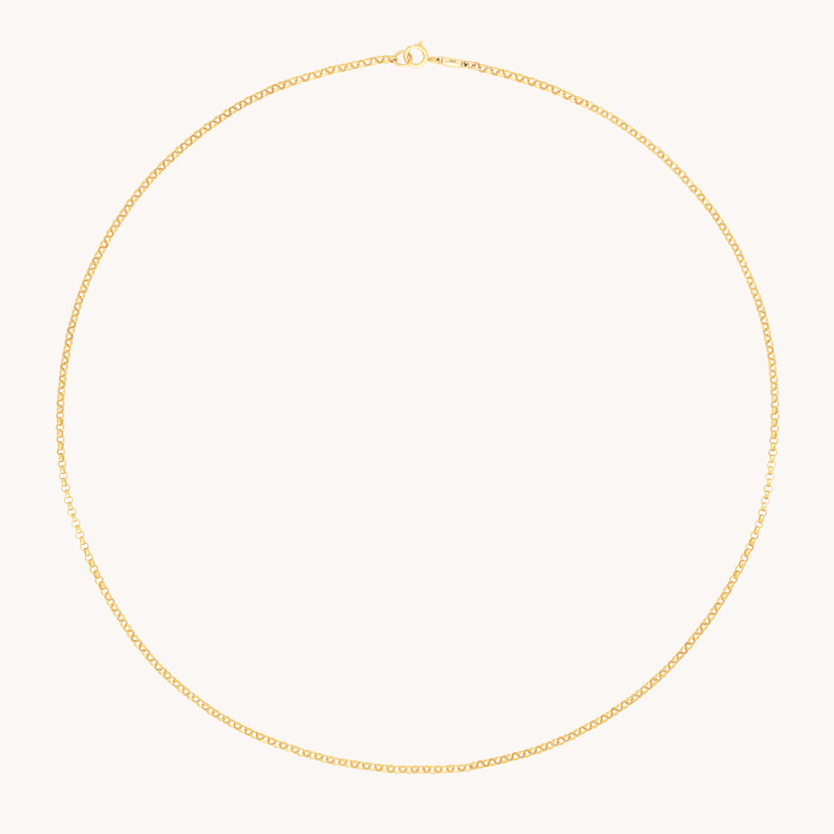Chelsea Chain Necklace in Solid Gold