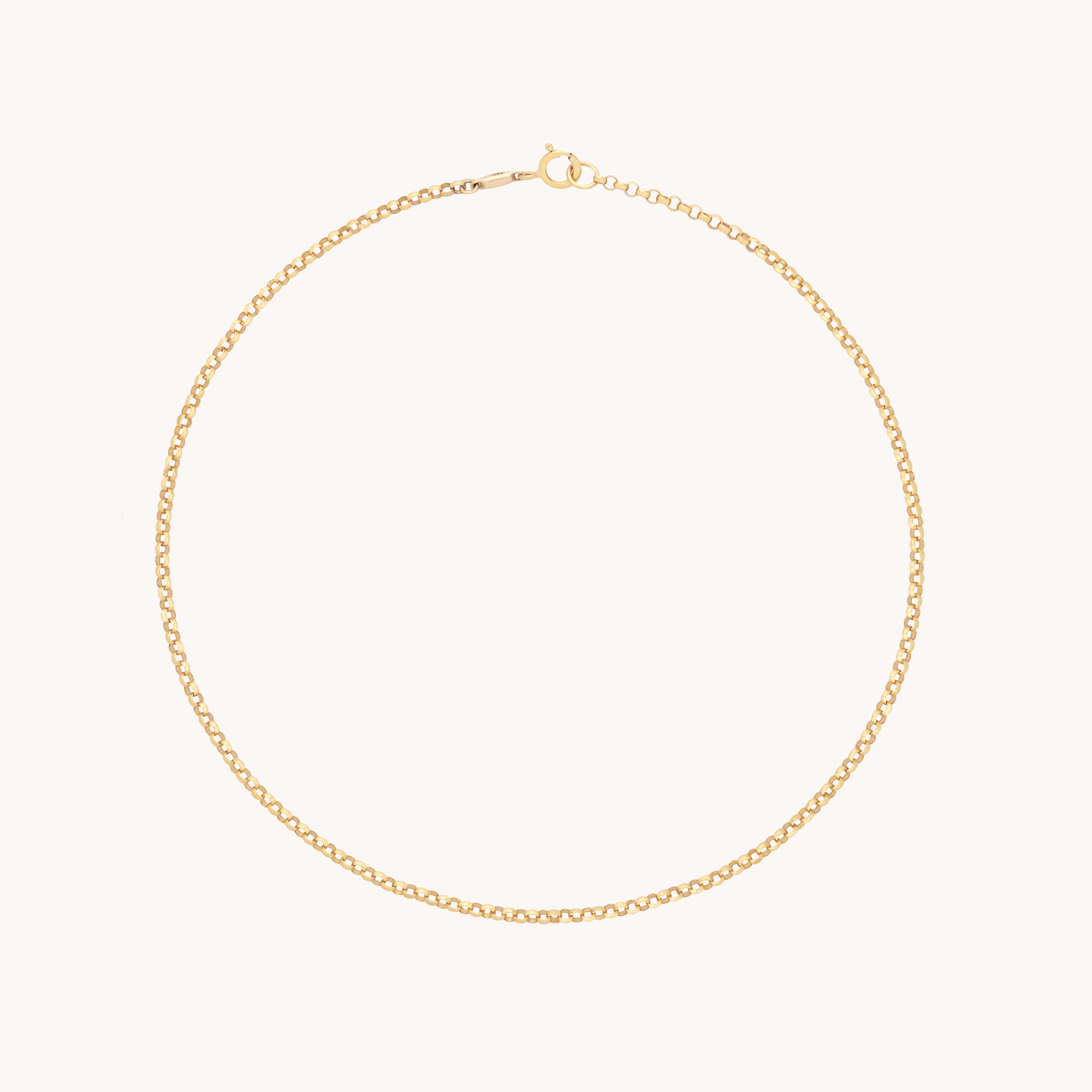 Chelsea Story Story Chain Anklet in Solid Gold
