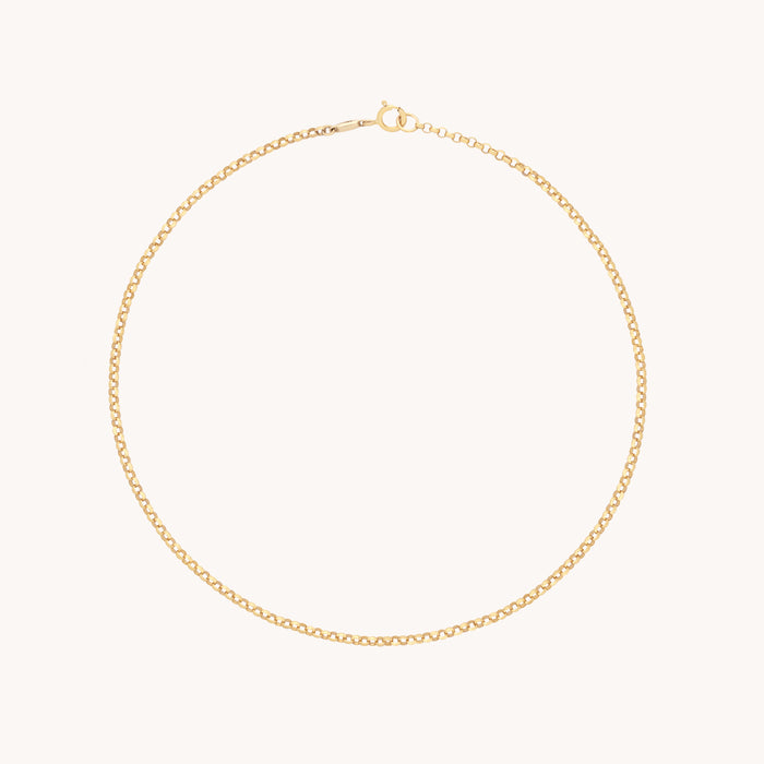 Chelsea Story Story Chain Anklet in Solid Gold