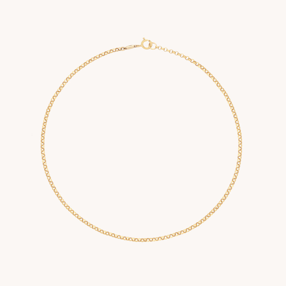 Chelsea Story Story Chain Anklet in Solid Gold
