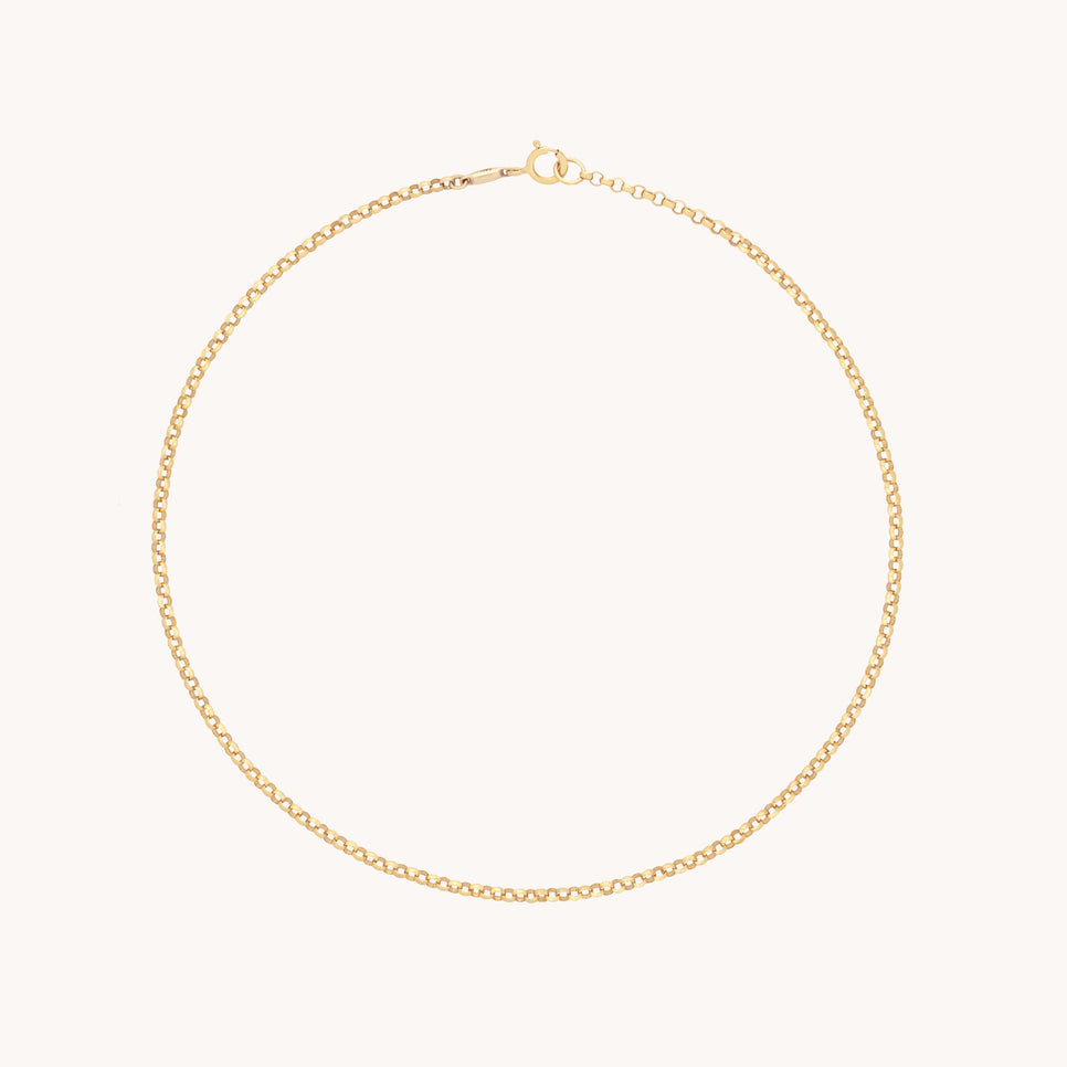 Chelsea Story Story Chain Anklet in Solid Gold