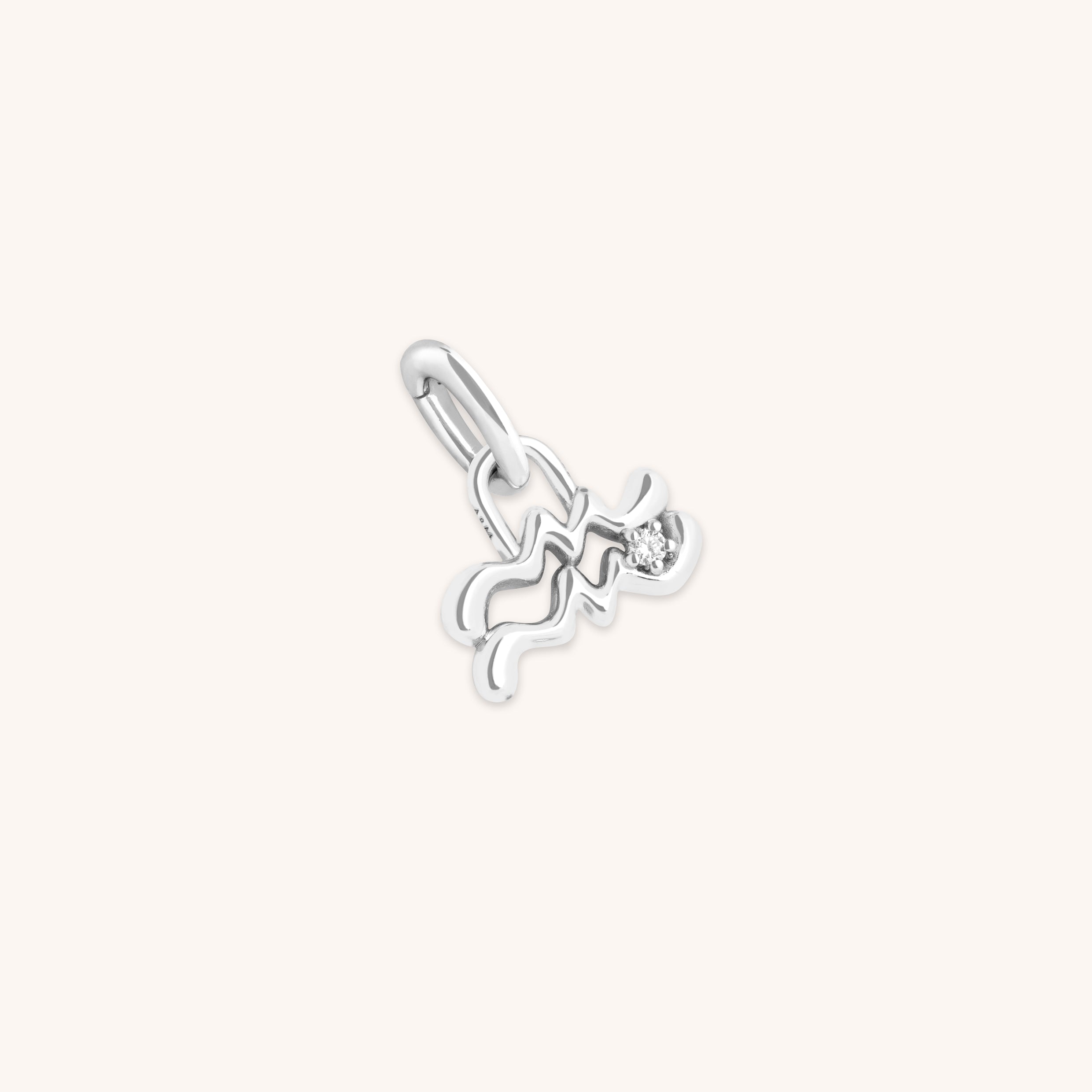 Aquarius Zodiac Talisman Charm in Silver