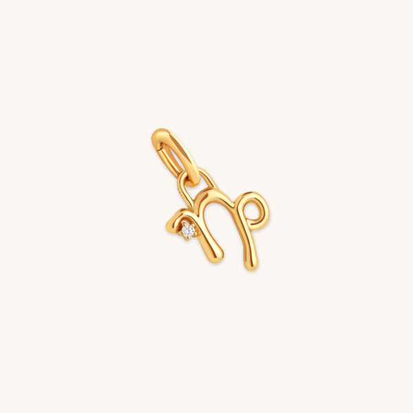 18k Gold Plated Jewellery - Capricorn Zodiac Talisman Charm in Gold - Talisman Charm - Astrid &amp; Miyu