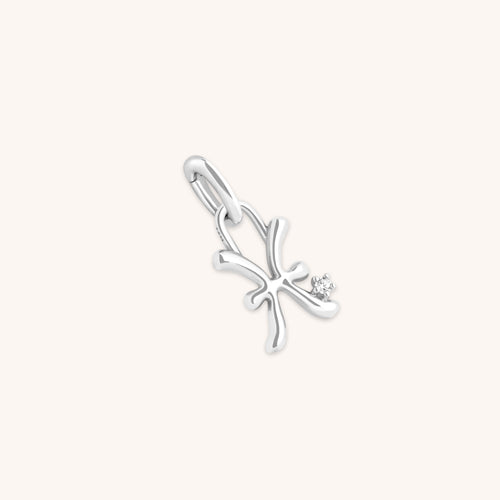 Pisces Zodiac Clip Charm in Silver