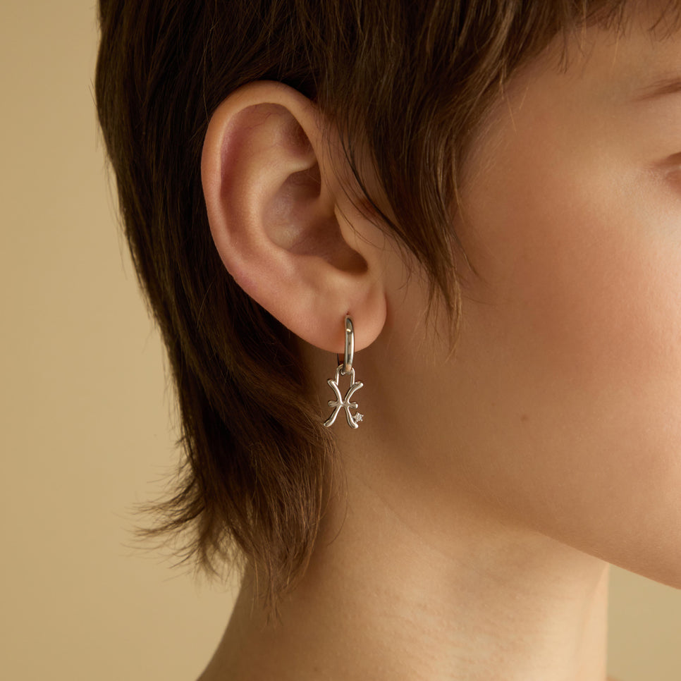 Hoop Charms - Pisces Zodiac Talisman Charm in Silver - Talisman Charm - Astrid &amp; Miyu