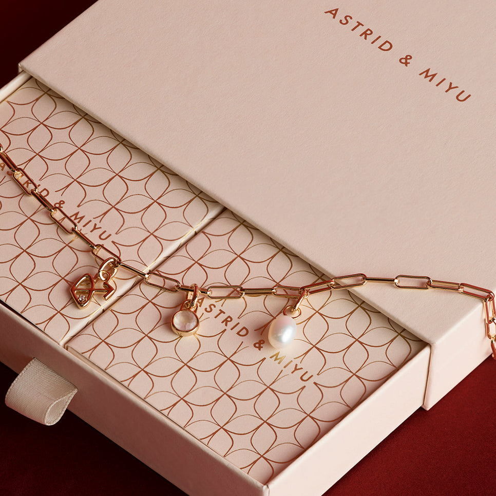 Piccadilly Necklace Charming Gift Set in Gold