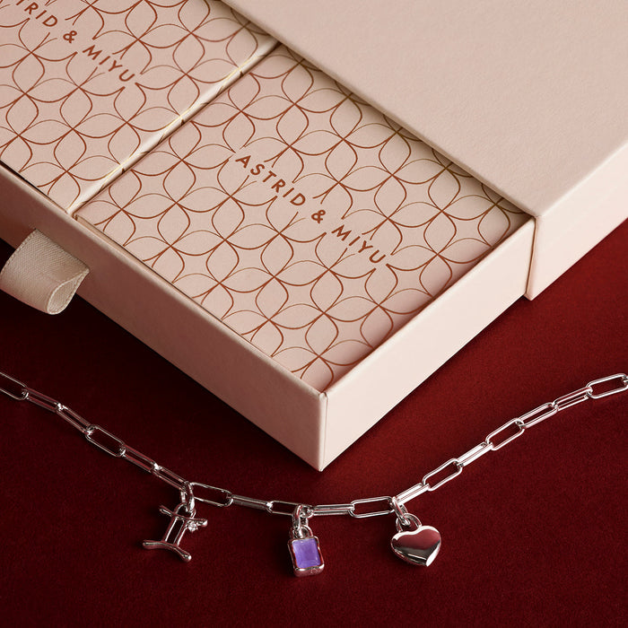 Piccadilly Necklace Charming Gift Set in Silver