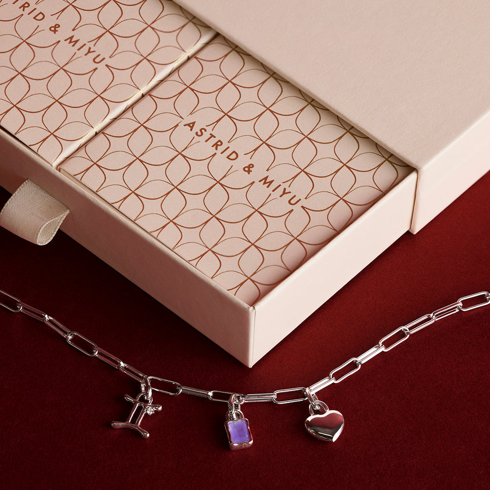 Piccadilly Necklace Charming Gift Set in Silver