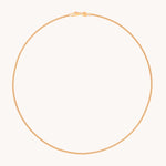 Essential Curb Chain Necklace in Gold