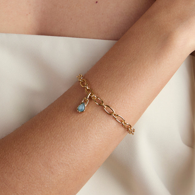 Aquamarine March Clip Charm in Gold-Astrid &amp; Miyu