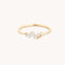 Diamond Cluster Ring in Solid Gold-Astrid &amp; Miyu