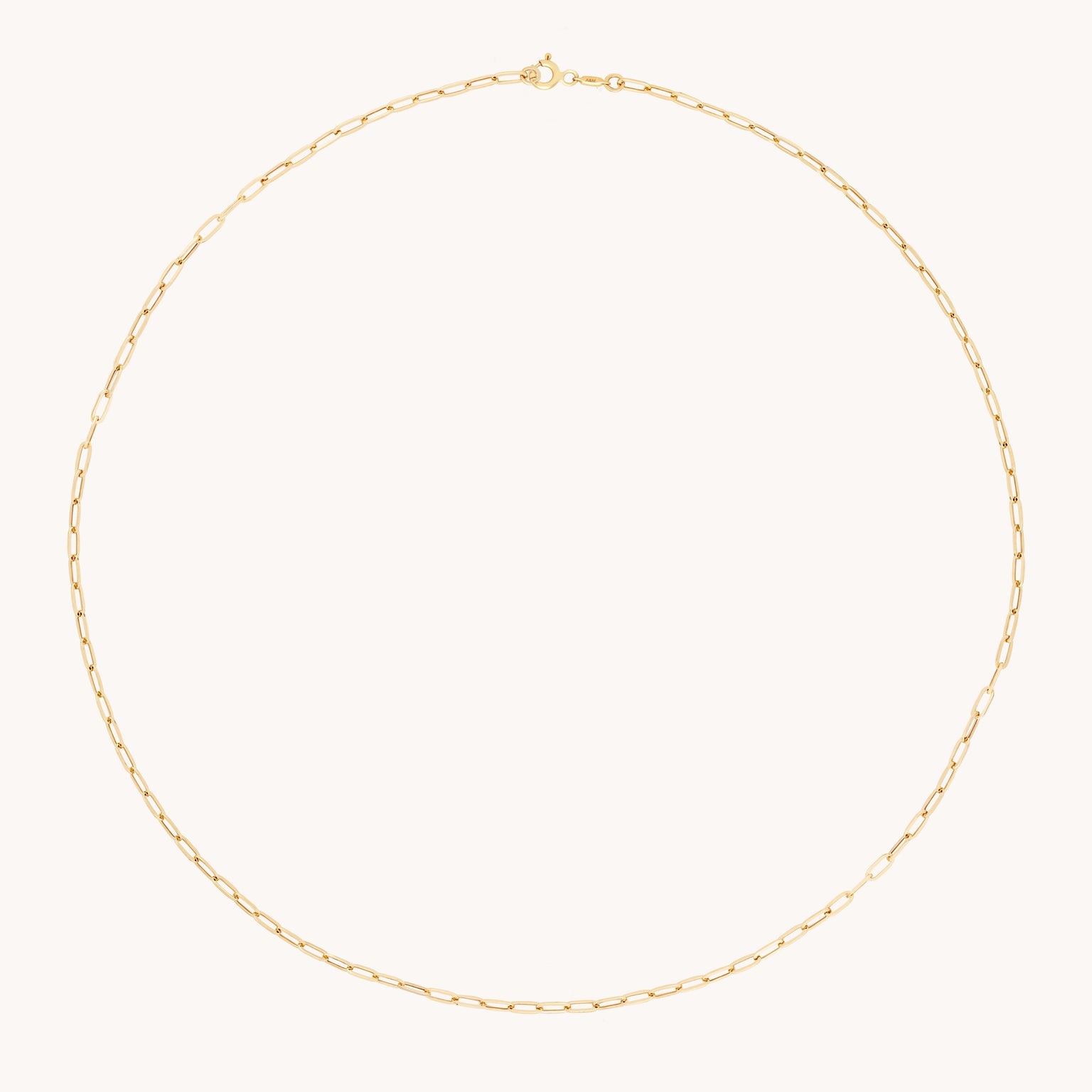 Charm Compatible Necklaces & Bracelets - Piccadilly Chain Necklace in Solid Gold - Necklaces - Astrid &amp; Miyu