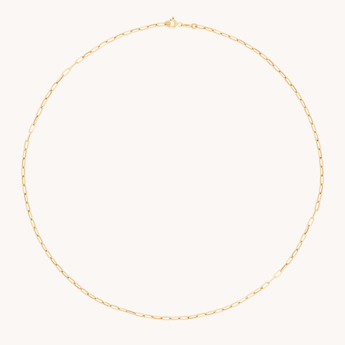 Charm Compatible Necklaces & Bracelets - Piccadilly Chain Necklace in Solid Gold - Necklaces - Astrid &amp; Miyu