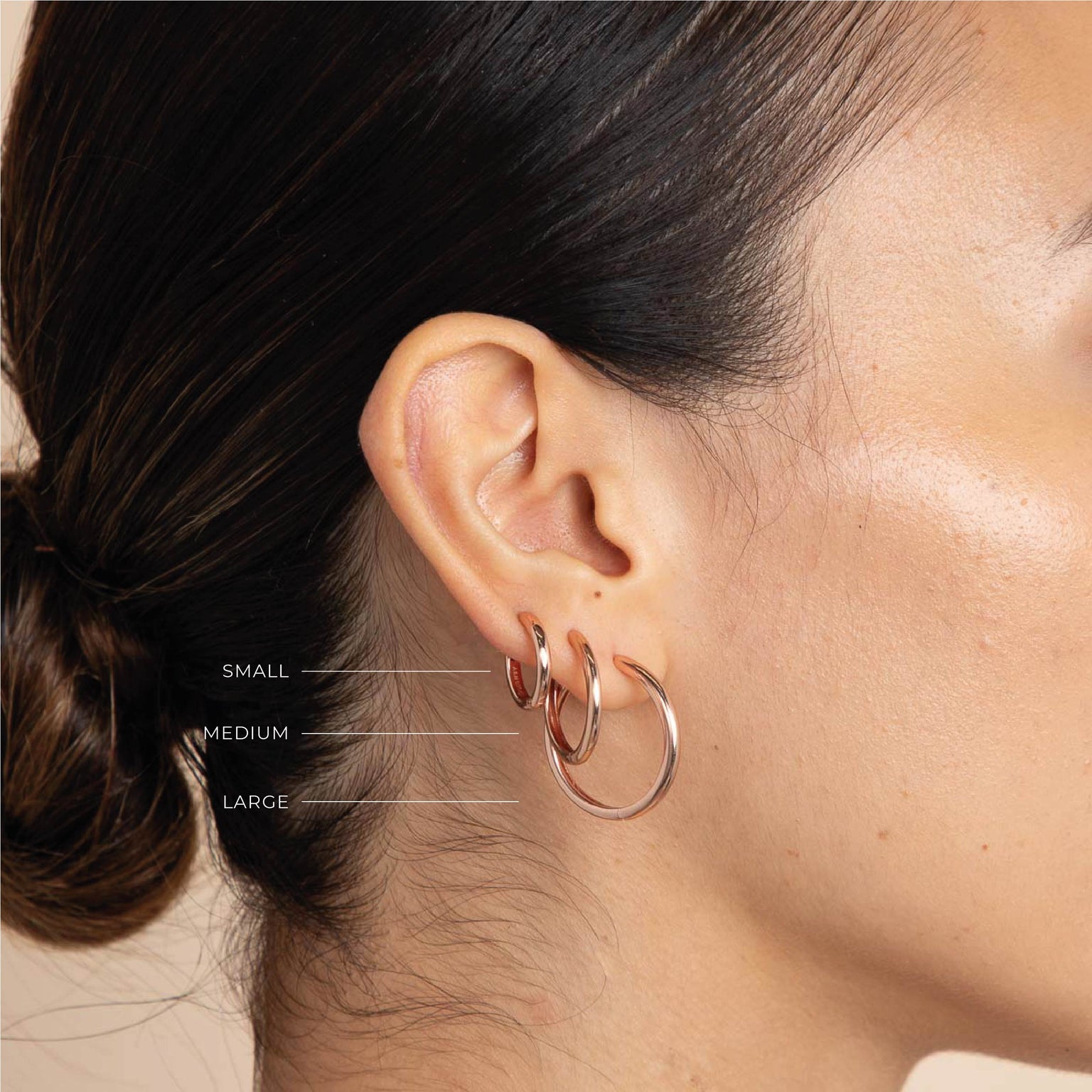 Essential Medium Hoops in Rose Gold