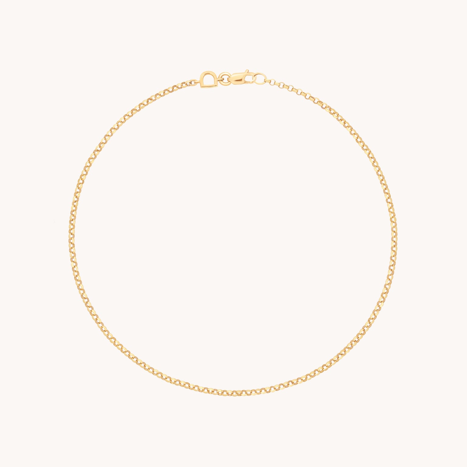 Chelsea Chain Anklet in Solid Gold