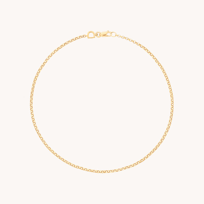 Chelsea Chain Anklet in Solid Gold