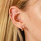 18k Rose Gold Plated Jewellery - Bold Essential Huggies in Rose Gold - Huggies - Astrid &amp; Miyu