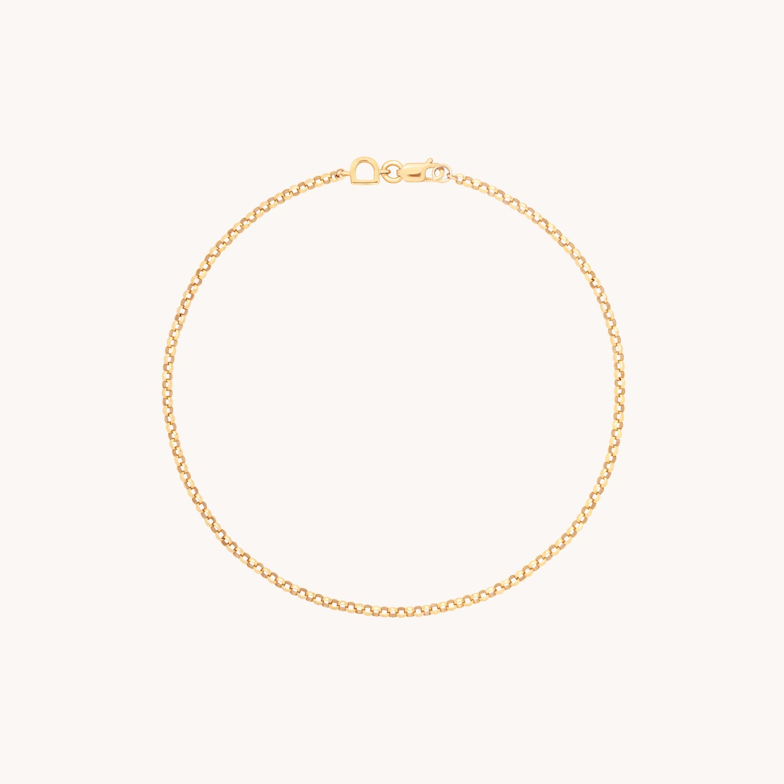 Chelsea Chain Bracelet in Solid Gold