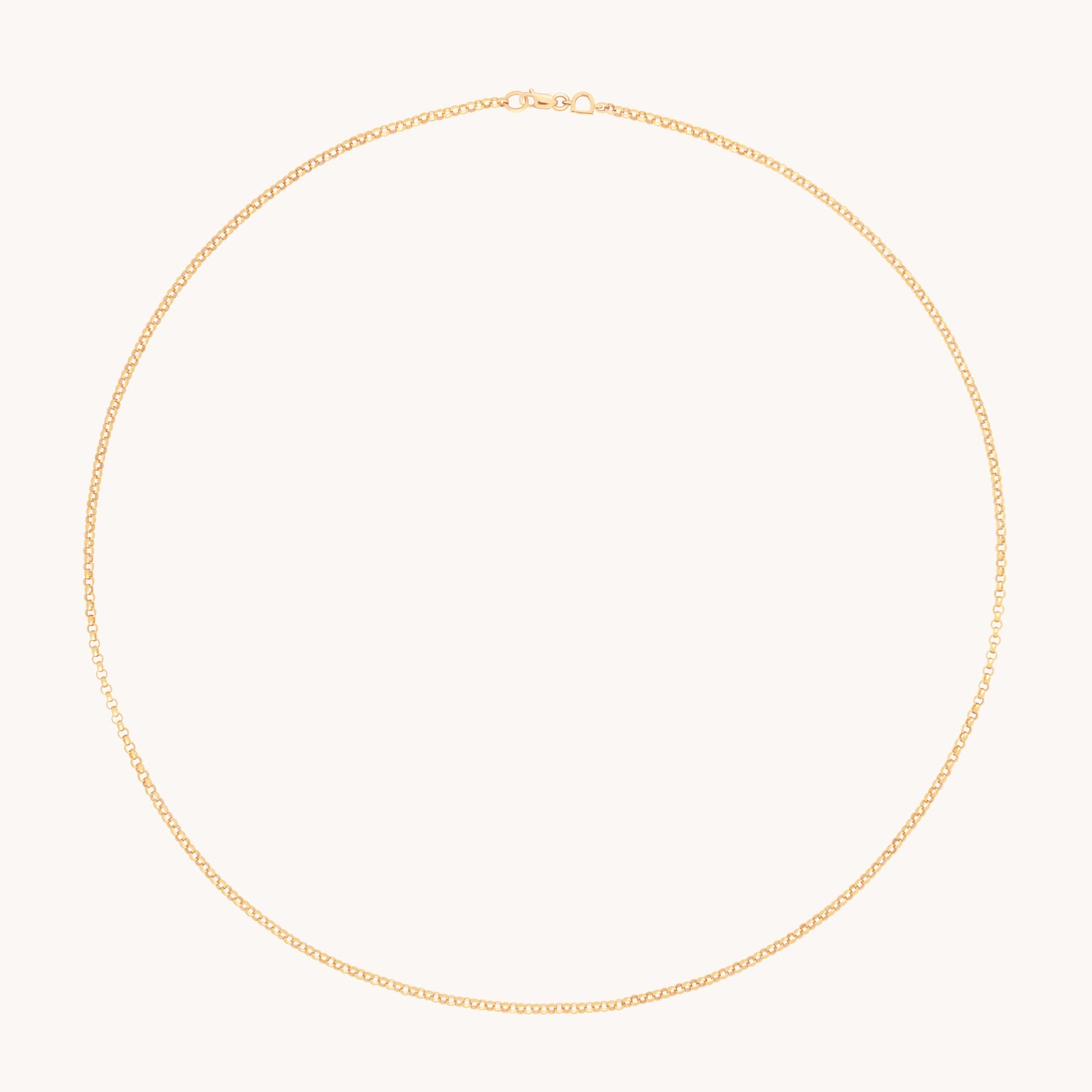 Chelsea Chain Necklace in Solid Gold