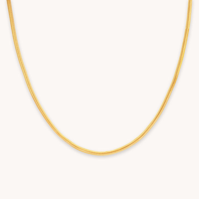 Oval Snake Chain Necklace in Gold
