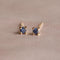 September Birthstone Stud Earrings in Gold with Sapphire CZ