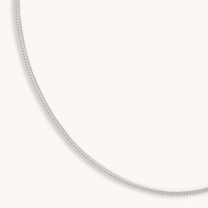 Snake Chain Necklace in Silver